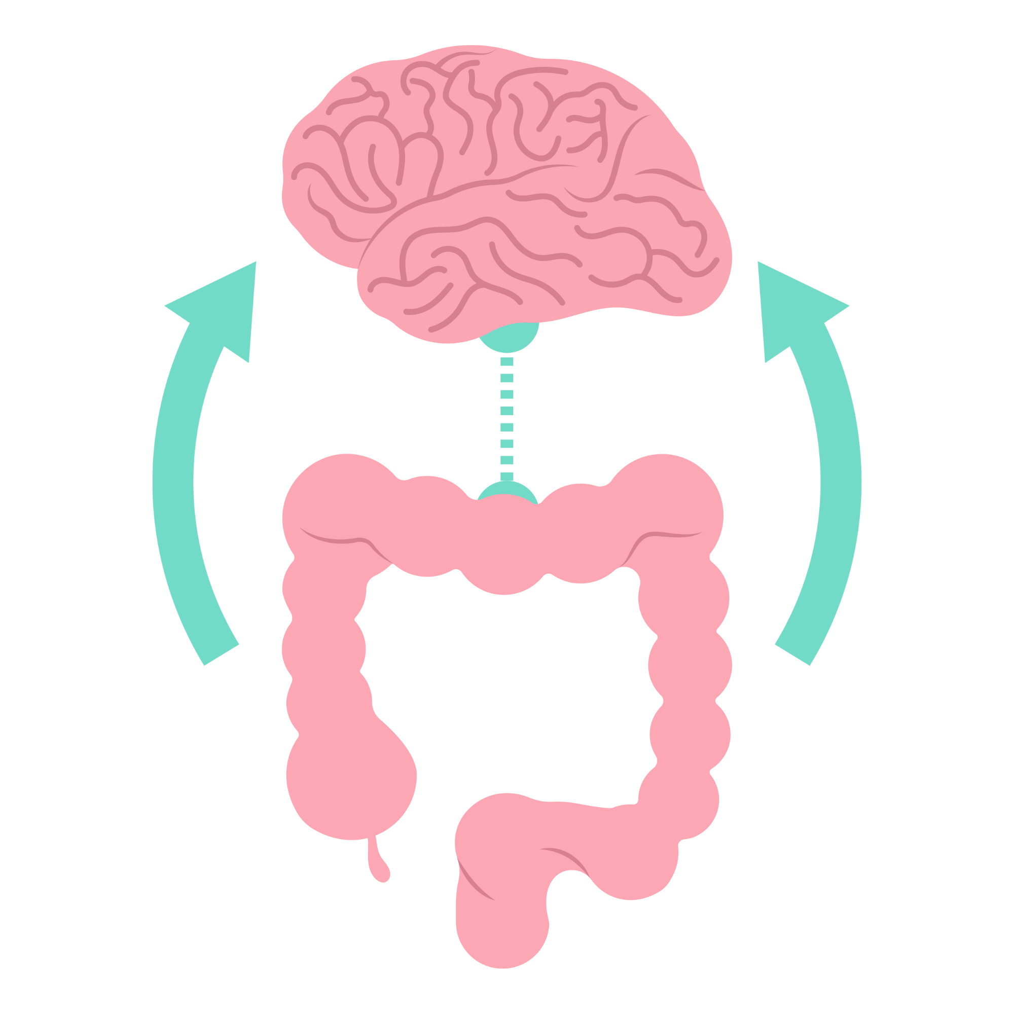The Gut-Brain Axis: How Your Diet Shapes Your Mind